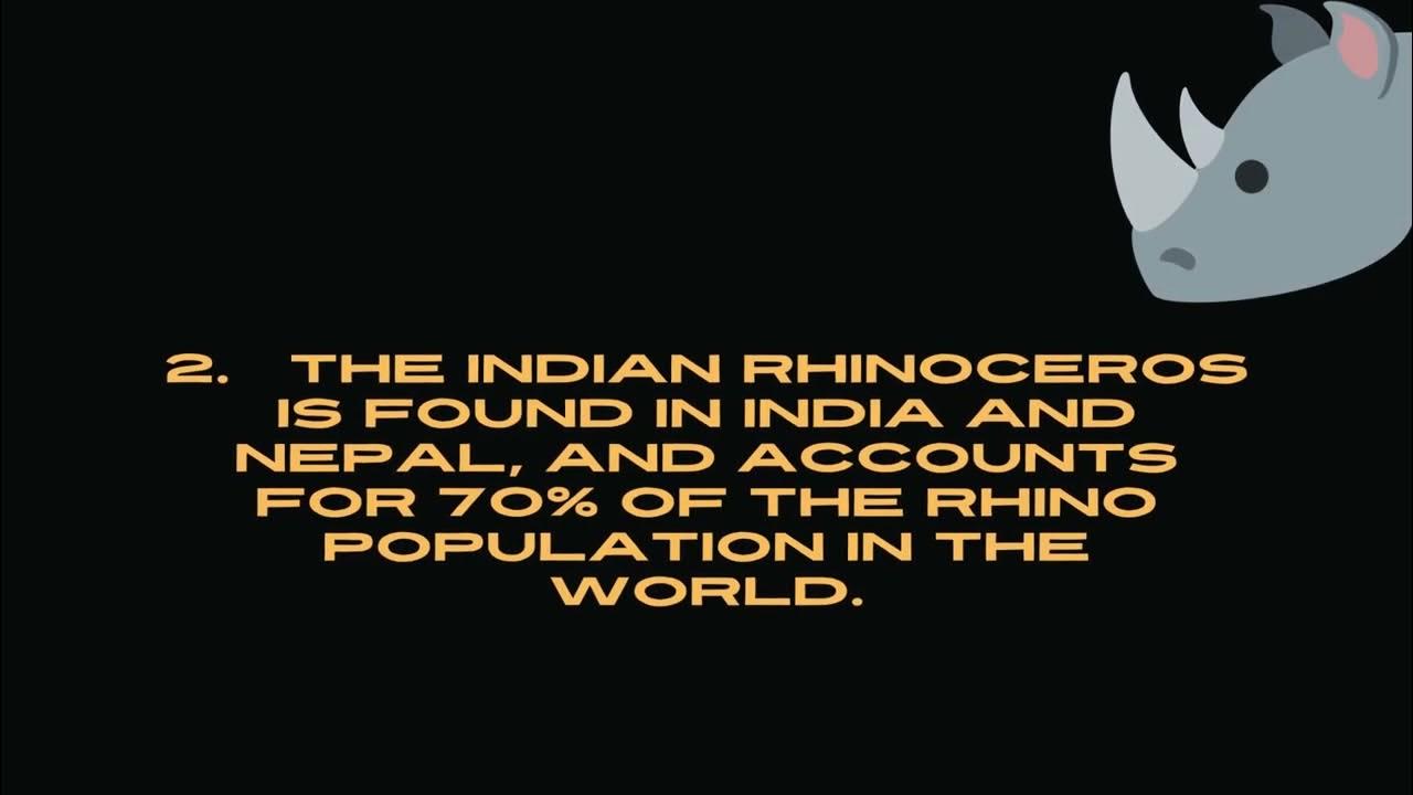 facts-about-wild-life-in-asia-youtube