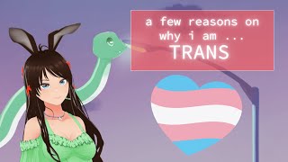 how did i know i was trans?