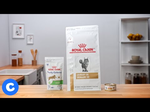 Royal Canin Urinary SO Cat Food | Chewy