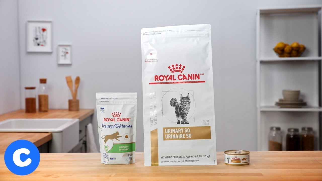 royal canin cat treats urinary