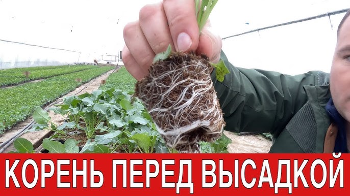 Зернодробилка Фермер ИЗ купить в - цены, характеристики, отзывы, фото.