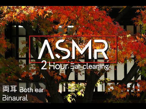 【ASMR/Ear Cleaning/Binaural】涼しくなった夜のおともに2時間ロング【両耳版/耳かき/イヤホン必須】