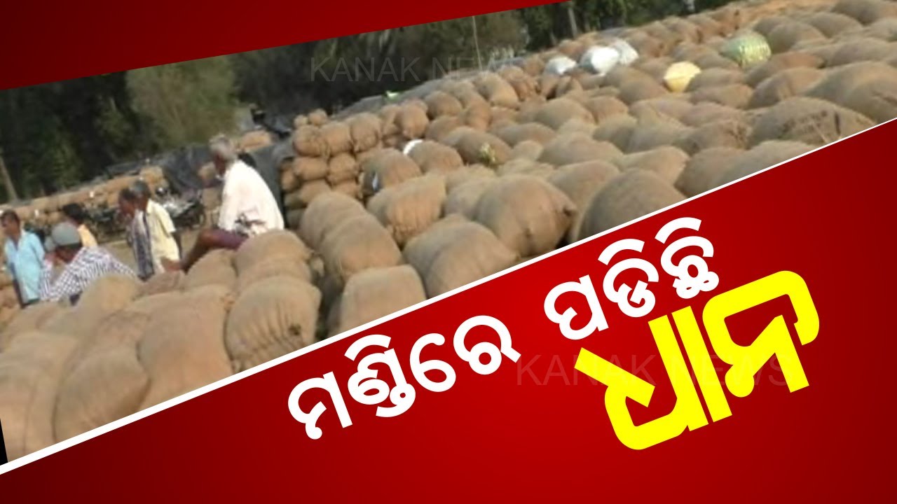 Farmers From Sambalpur Not Able To Sell Their Paddy For Token Issue Farmers From Sambalpur Not Able To Sell Their Paddy For Token Issue