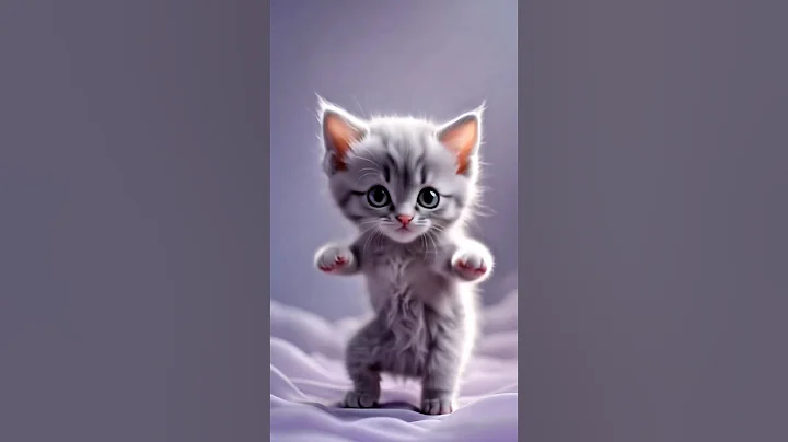 Video 10504211: cat funny dance cutecat, kitty dance cute, cute little kitty