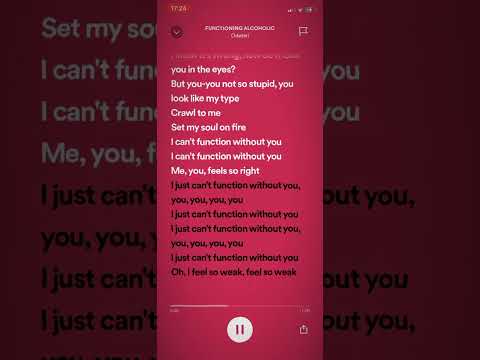 FUNCTIONING ALCOHOLIC Odetari