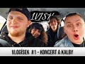 Vlogsek 1  koncert a kalby  1vish