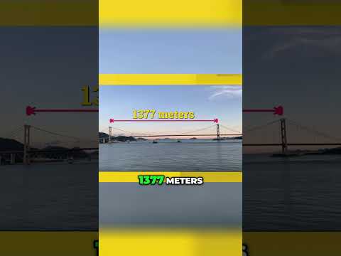 World's Largest Suspension