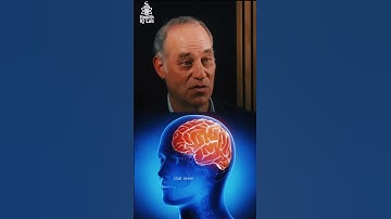 Working Memory vs. Long-Term Memory | Explained on Andrew Huberman’s Podcast