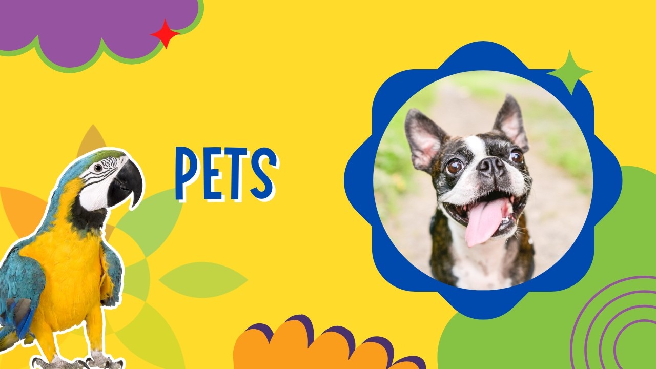 Pets for Kids 🐶🐱 | 5-Minute Calm Animal Video – Dogs, Cats, Fish & More
