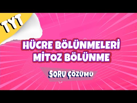 Hücre Bölünmeleri (Mitoz