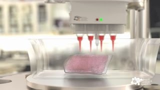 Organs Bioprinting - 3rd Bioprinting