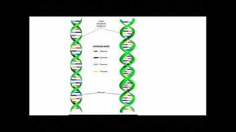 Life Sciences Week 4 video lecture 9