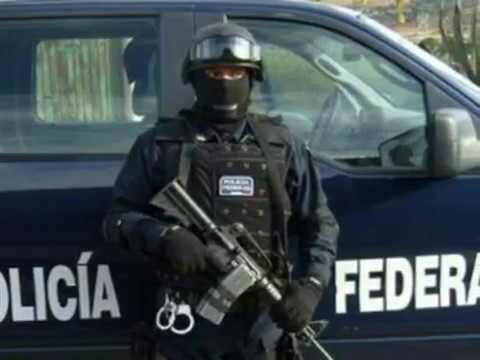 Resultado de imagen para fuerzas federales