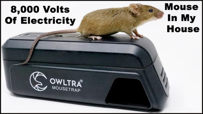 OWLTRA OW-1 Indoor Electric Rat Trap 2PCS, Instant Kill Rodent Zapper with  Pet Safe Trigger, Black