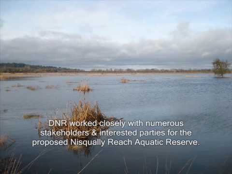washington state court records Nisqually Reach Aquatic Reserve