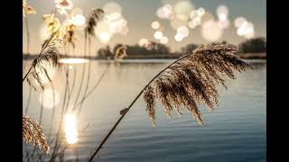 Rakkauden Joki Sov. Mauri Kulmala