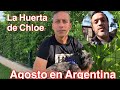 La Huerta en Agosto en el Hemisferio Sur - Con La Huerta de Chloe