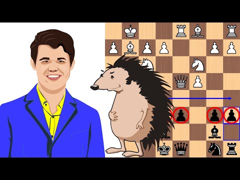 Video: Straight Or Branched Hedgehog