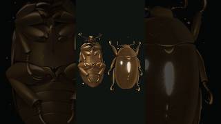 Beetle Drawing Timelapse ⭐ #artist #original #illustration #digitalart #drawing #art #procreate
