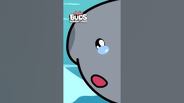 Whale of a Time Down Under, Whale Capture | AirAsia Buds