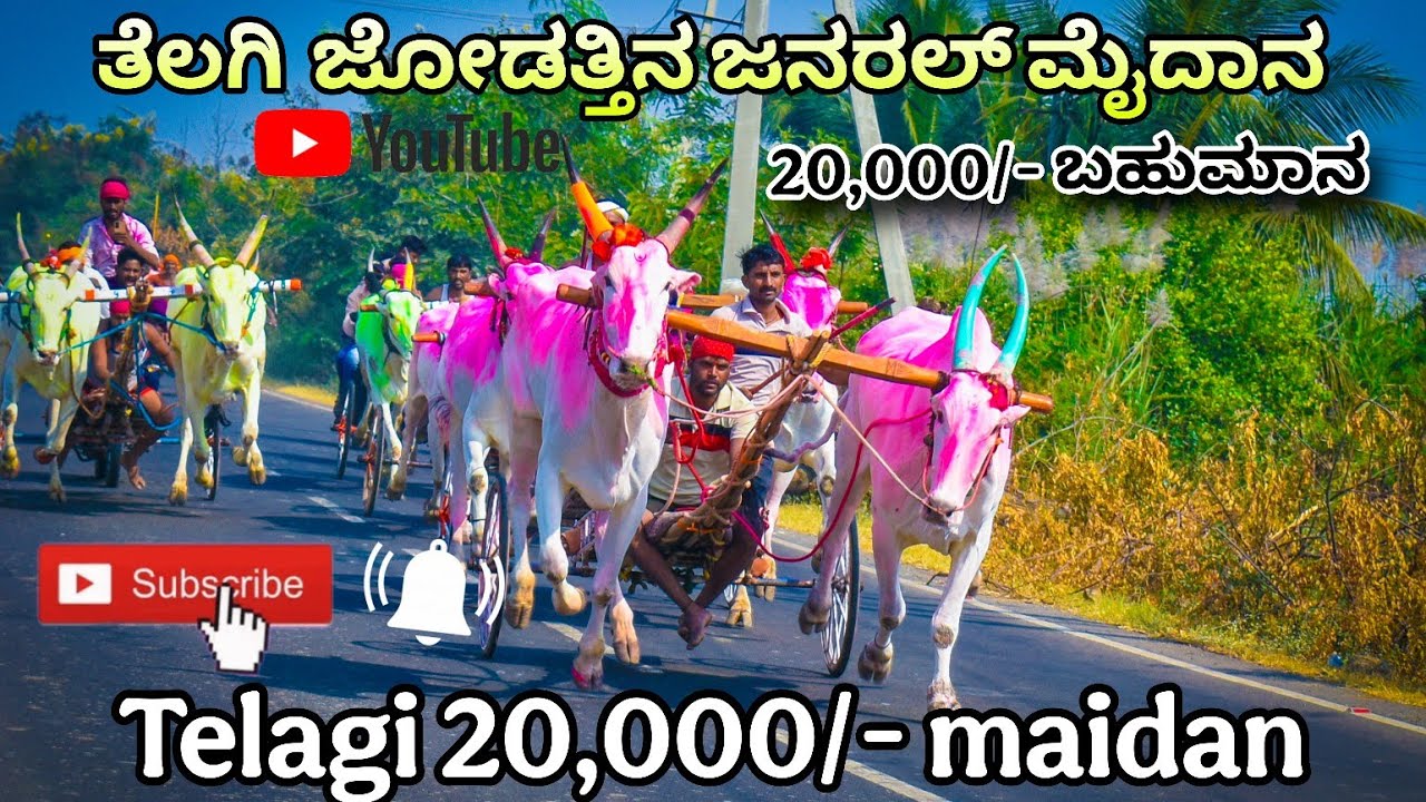 ತೆಲಗಿ 15,000 ಜೋಡೆತ್ತಿನ ಜನರಲ್ ಮೈದಾನ | Telagi janaral maidan @nagarajmendegar7150 