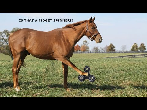 horse fidget spinner