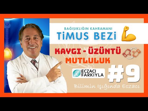 Bağışıklığımızın Kahramanı: Timus Bezi