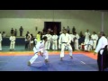Karate altonia Bruno