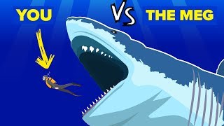 YOU vs THE MEG  How Can You Defeat and Survive It (The Meg Shark Movie)