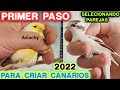 PRIMER PASO PARA CRIAR CANARIOS 2022 TEMPORADA