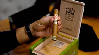 Punch Princesas Edicion Limitada 2025 Cigar Review