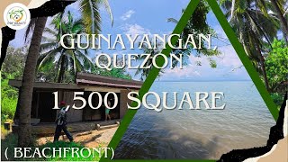 A47 - Property of Guinayangan | 1500 SQM | Beach Front |