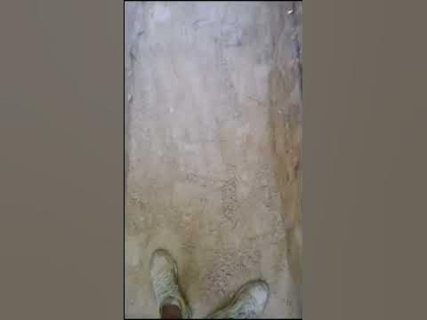 Трупный яд???! - YouTube