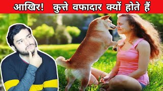 कुत्ते वफादार क्यों होते हैं | Why are dogs faithful | Mysterious Facttechz