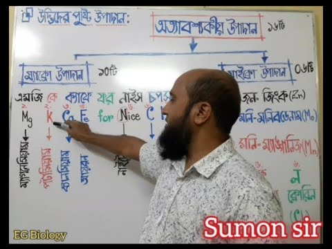 ভিডিও: উদ্ভিদ বৃদ্ধি নিয়ামক