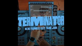 Terminator (DJ Desa Remix)