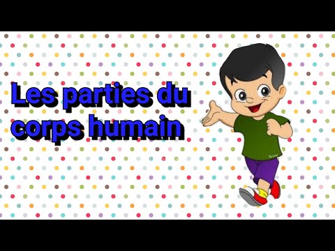 Les parties du