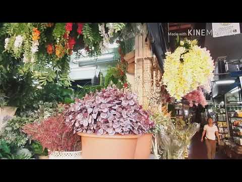 พาเดินชมดอกไม้เหมือนจริงที่สวยที่สุด และถูกที่สุด ตลาดนัดจตุจักร