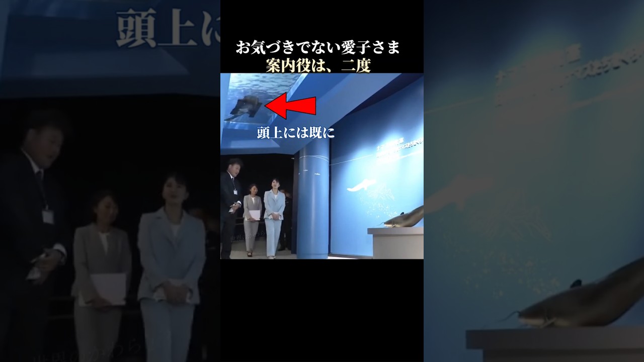 愛子さま、滋賀・琵琶湖博物館で　ビワコオオナマズと対面 #愛子さま #皇室
