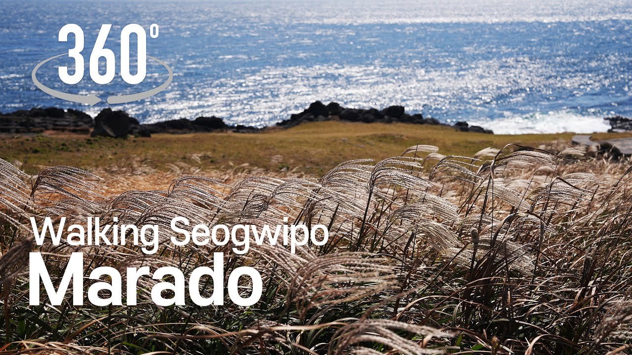 [360° VR Walking Tour] Autumn in Marado Island, the southernmost tip of ...