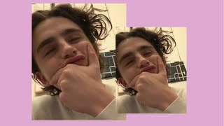 timothée chalamet moments to make your day better