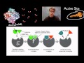 Unlocking the Secrets of Enzymes and Their Reactions