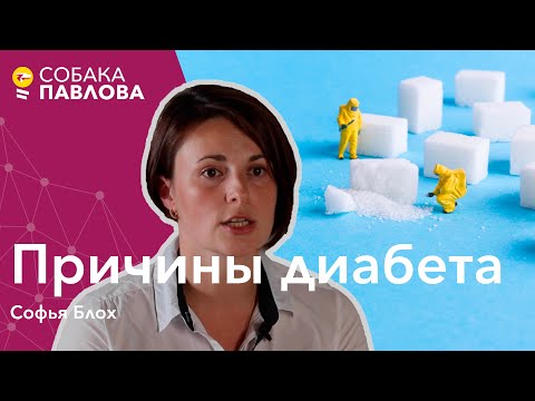 Причины диабета - Софья Блох // генетика, HLA, аутоантитела, бета-клетки, наследственность