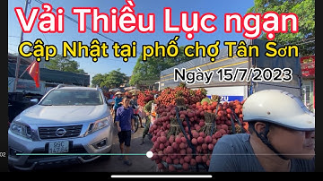 Vải Thiều Lục ngạn Bắc Giang cập Nhật giá ngày 15/7/2023 tại Tân Sơn lục ngạn.quả nhỏ chàm cũng 12k