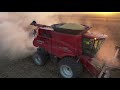 2020 Soybean Harvest October in Illionis, Case IH 8250 w/ MacDon, Wade Farms