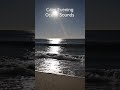 Calm Evening Ocean | Gentle Waves | Sleep Sounds #shorts