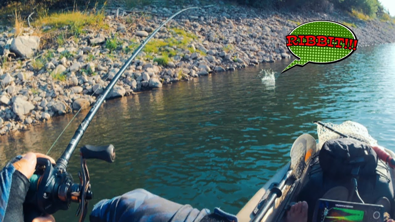 Horseshoe Lake, AZ – Slinging Frogs In This Remote Desert Lake: Bass Fishing Summer Slam