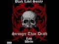 Zakk wylde - stronger than death