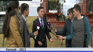 Видео Постоянные дожди мешают акмолинским аграриям собирать урожай (автор: Телеканал Хабар 24)