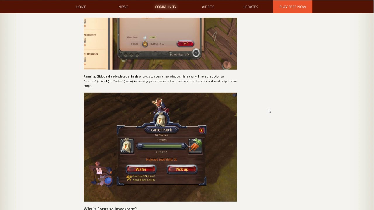 Albion Online Beginners Guide What Are The Focus Points?How Do You Use
